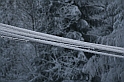 Bieszczady 12.2007 014